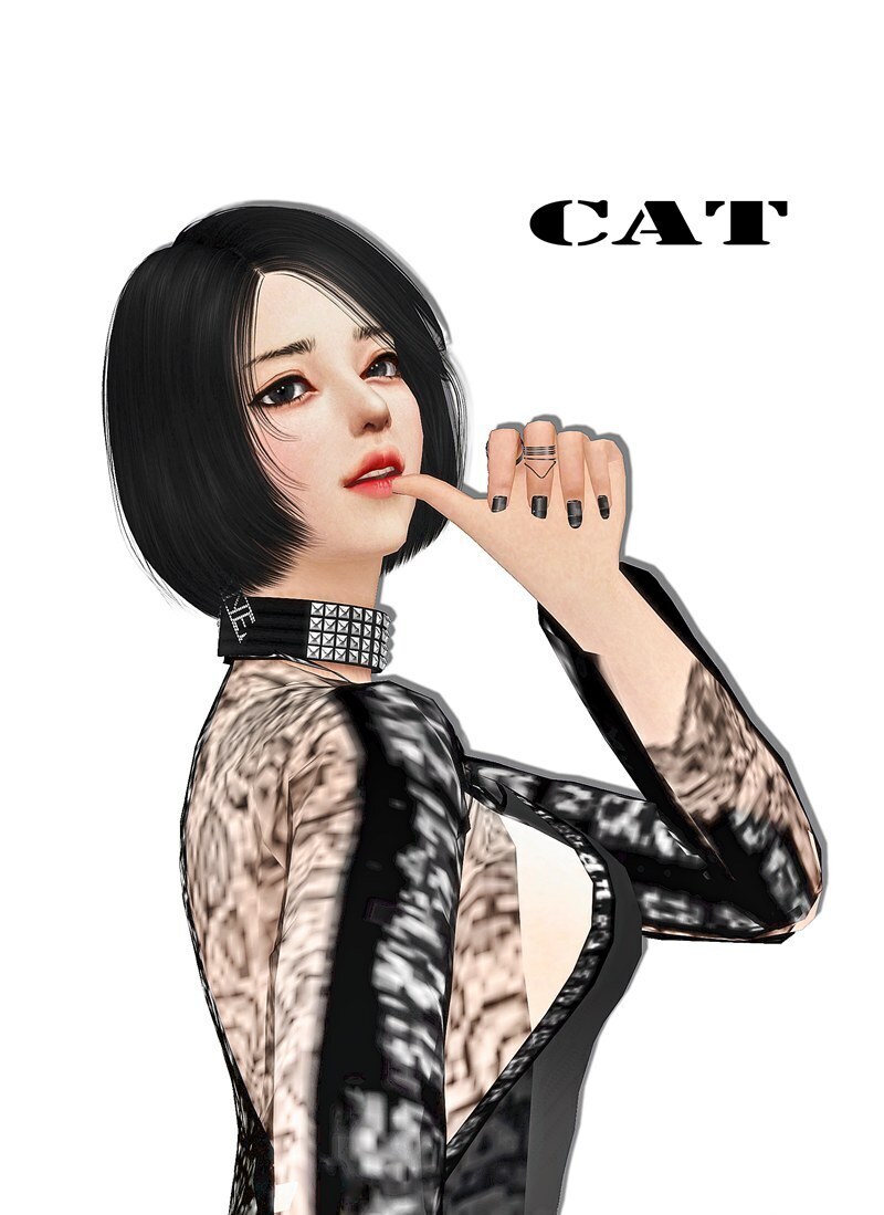 mod预览图