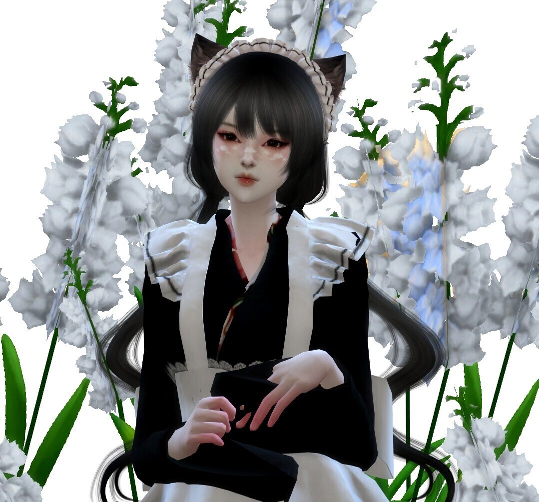 猫耳女仆