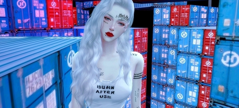 mod预览图