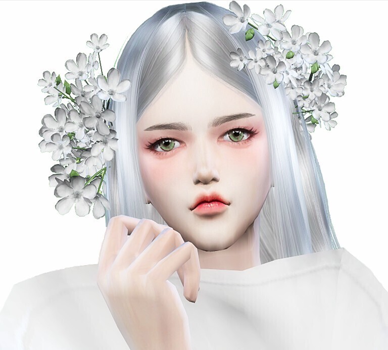 mod预览图