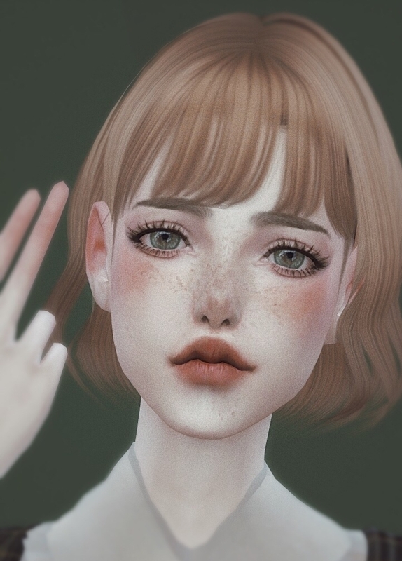 mod预览图