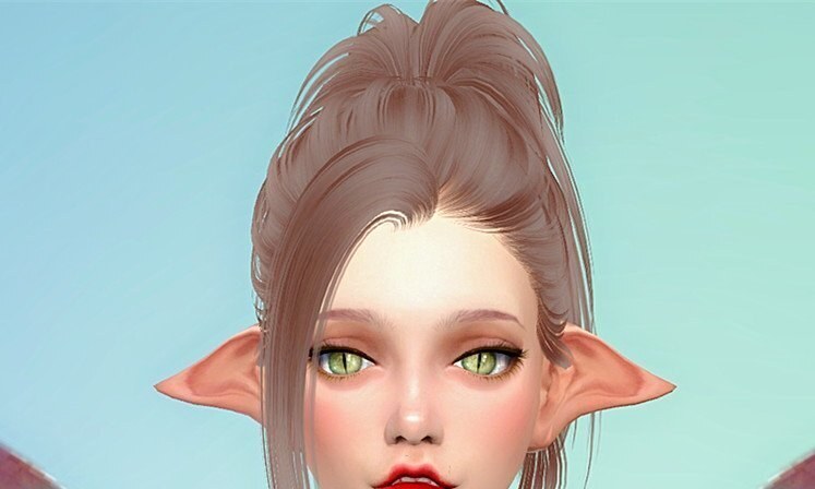 mod预览图