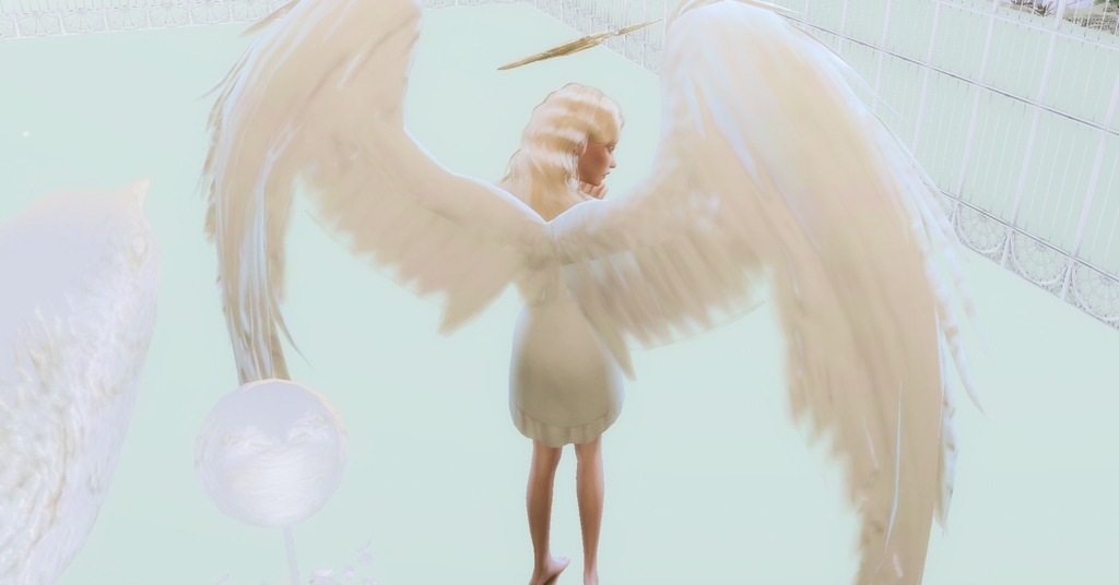 精灵系天使，等你来认领哦~