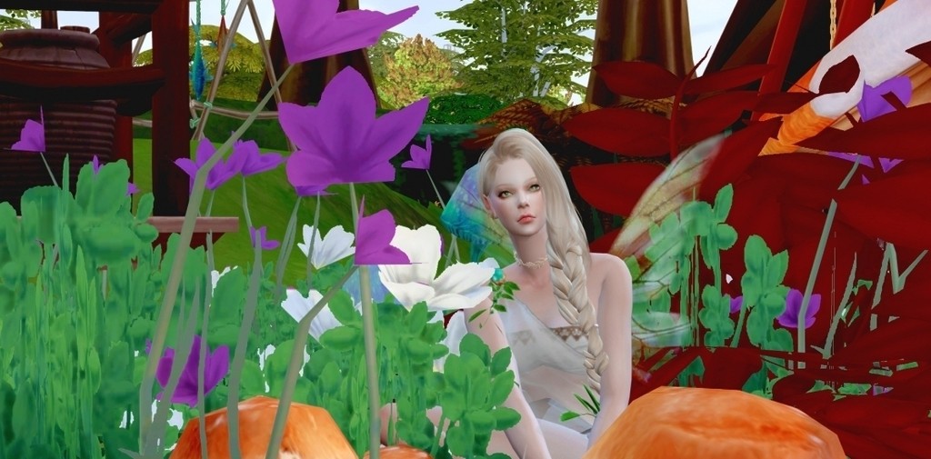 精灵 / 日出 飞舞 日落 盘旋