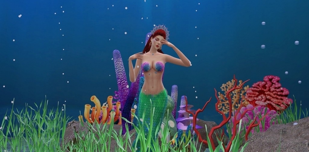 人鱼 / 沧海月明珠有泪