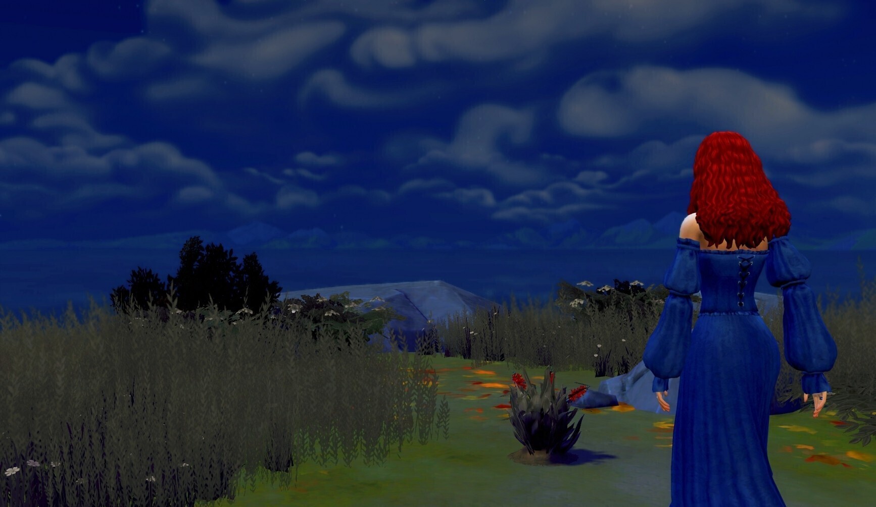 海的另一端会是什么样子呢？