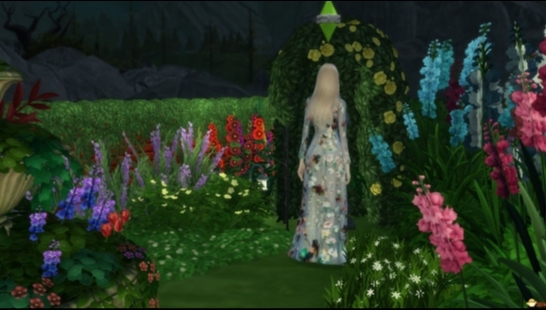 吸血鬼歌手的跟拍采访下载_V1.0版本